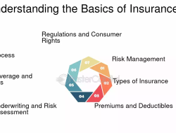 Types of Insurance: Understanding the Basics